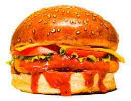 Mexican Burger