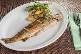 Trout Fish/Alabalık