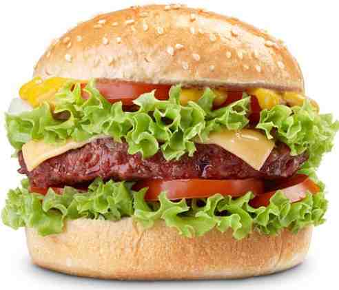 Hamburger