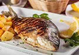 Sea Bream / Çipura