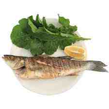 Sea Bass / Levrek
