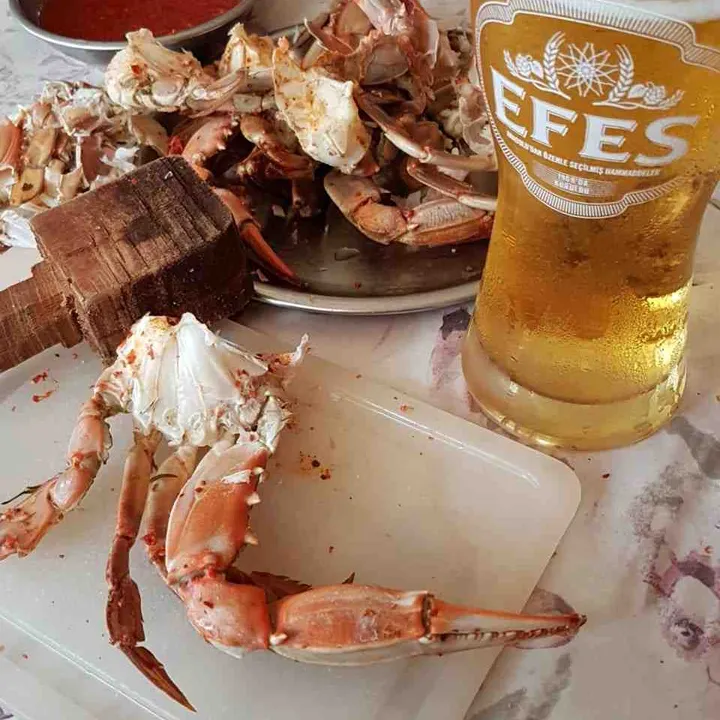 FIÇI EFES 50 CL